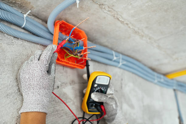 Professional Electrician in Palm Shores, FL