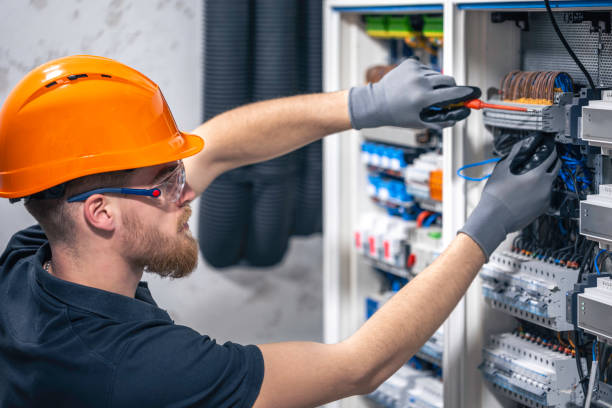 Best Electric Panel Repair  in Palm Shores, FL