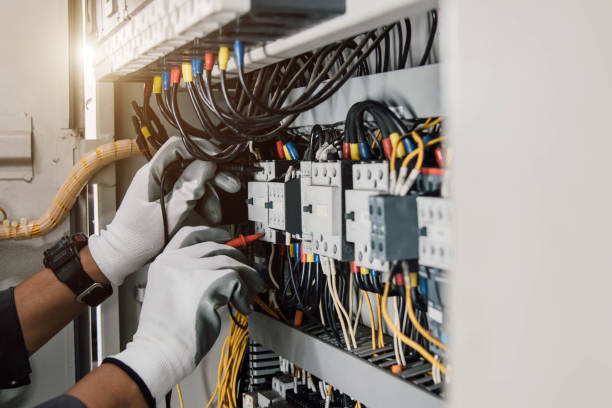 Best Generator Installation Services  in Palm Shores, FL